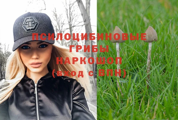 прущая мука Магас