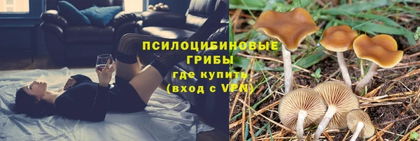 прущая мука Магас