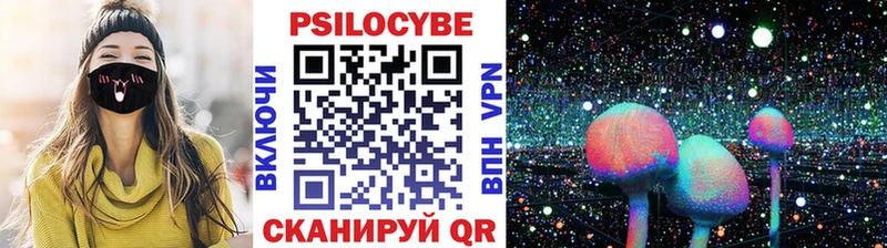 Псилоцибиновые грибы GOLDEN TEACHER  дарк нет состав  Нерчинск  купить  цена 